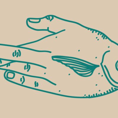 Fish Fingers Thumbnail